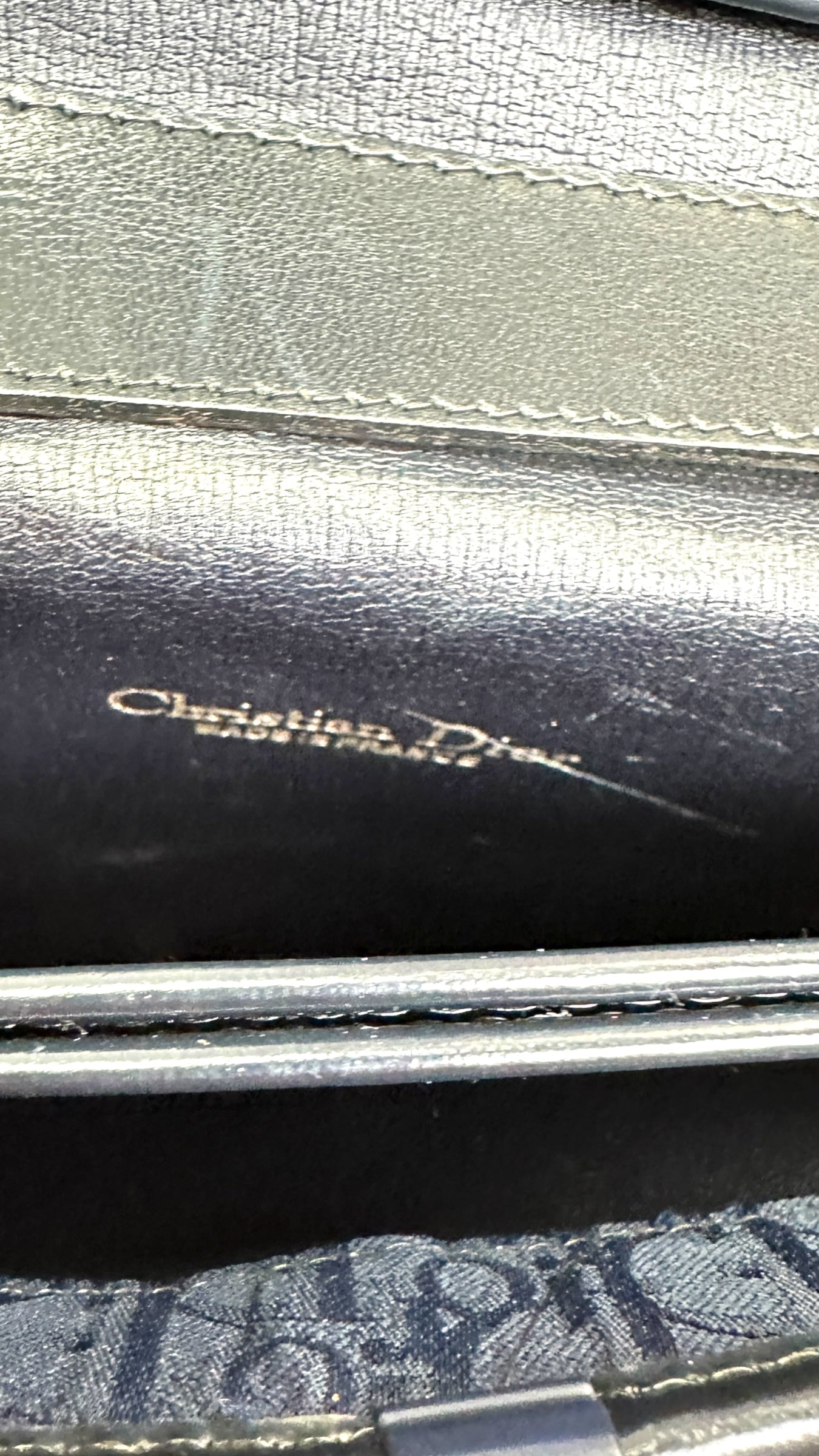 Dior obliqe