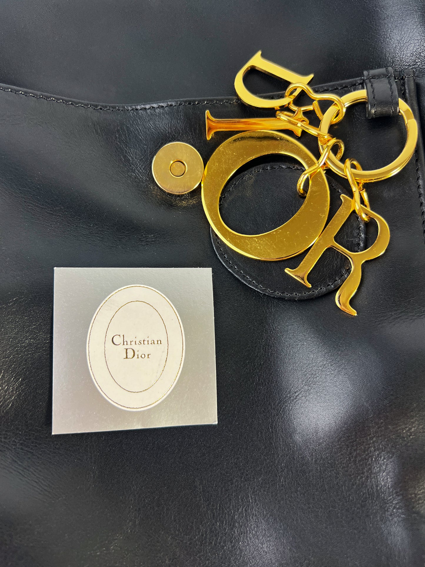Dior Lambskin Backpack