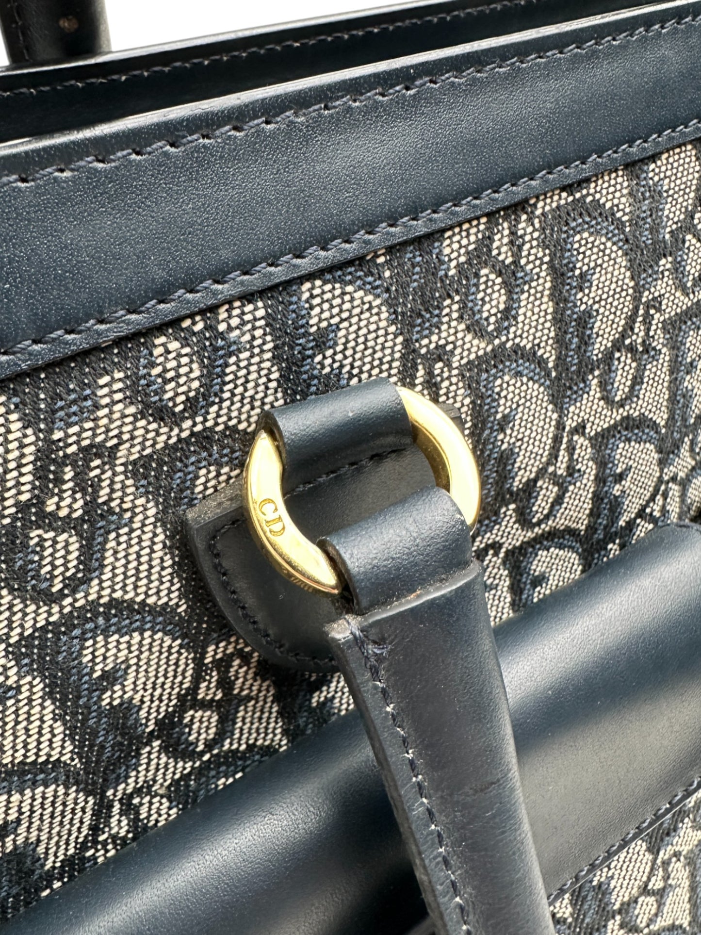 Dior Oblique Navy Trotter