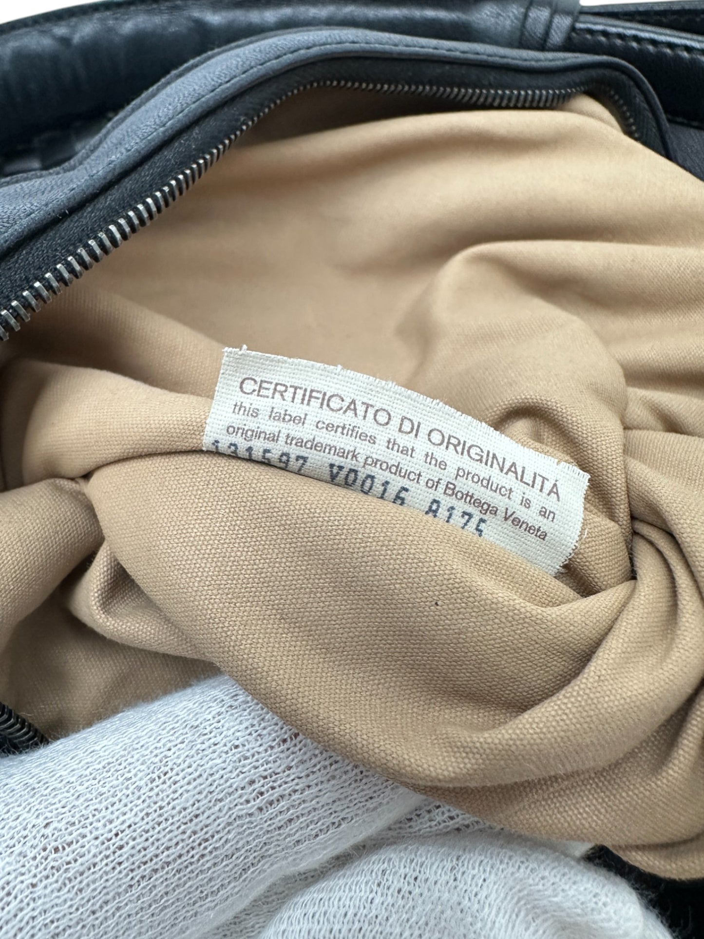 Bottega Veneta Aquilone