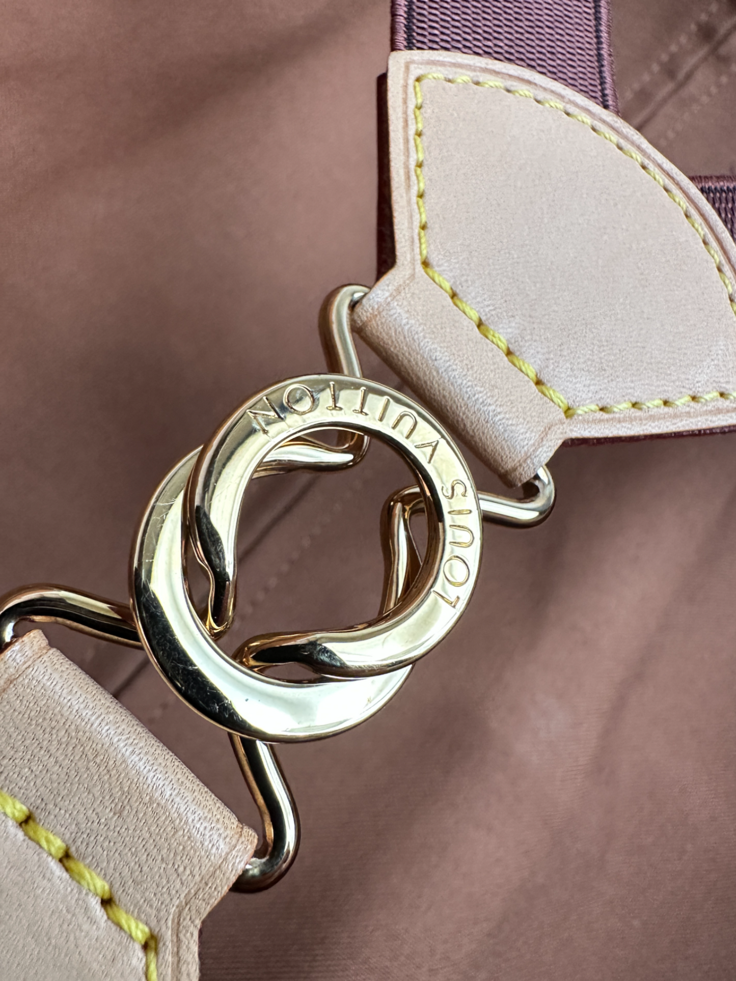 Louis Vuitton Pegase 55