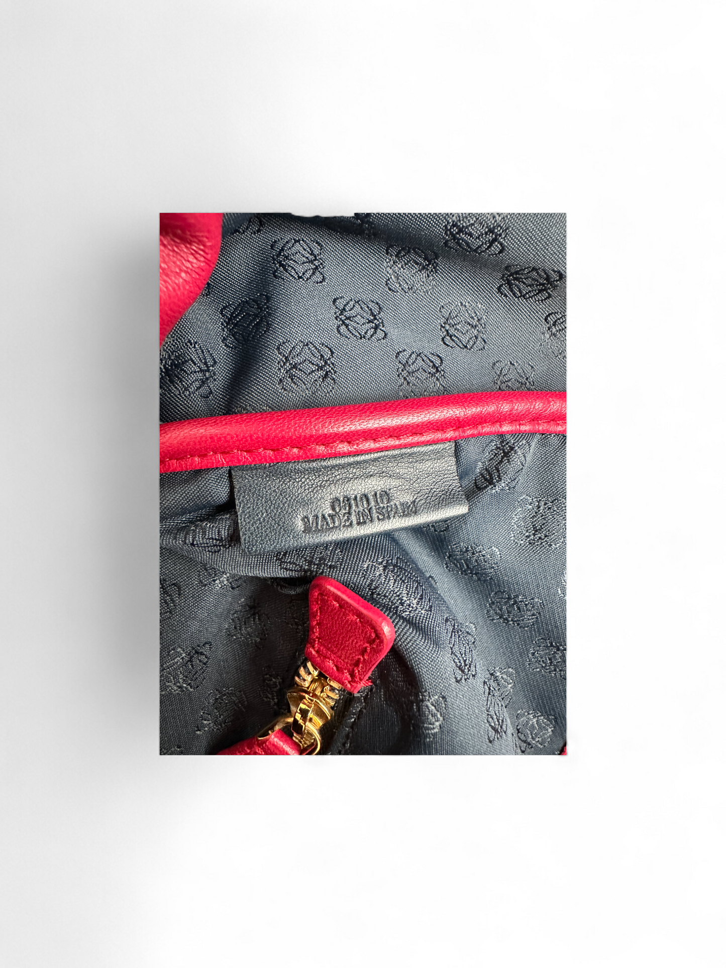 Loewe Hobo Bag