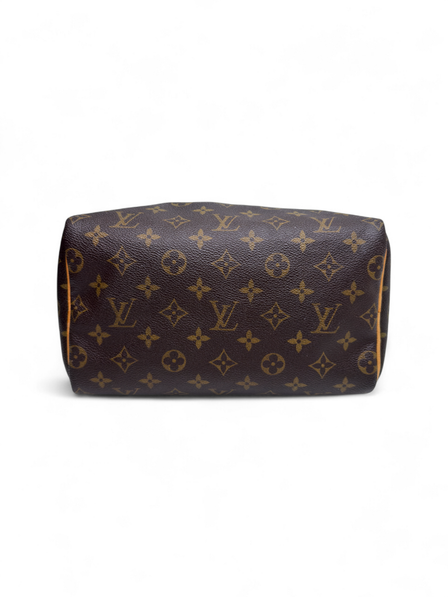 Louis Vuitton Speedy 25