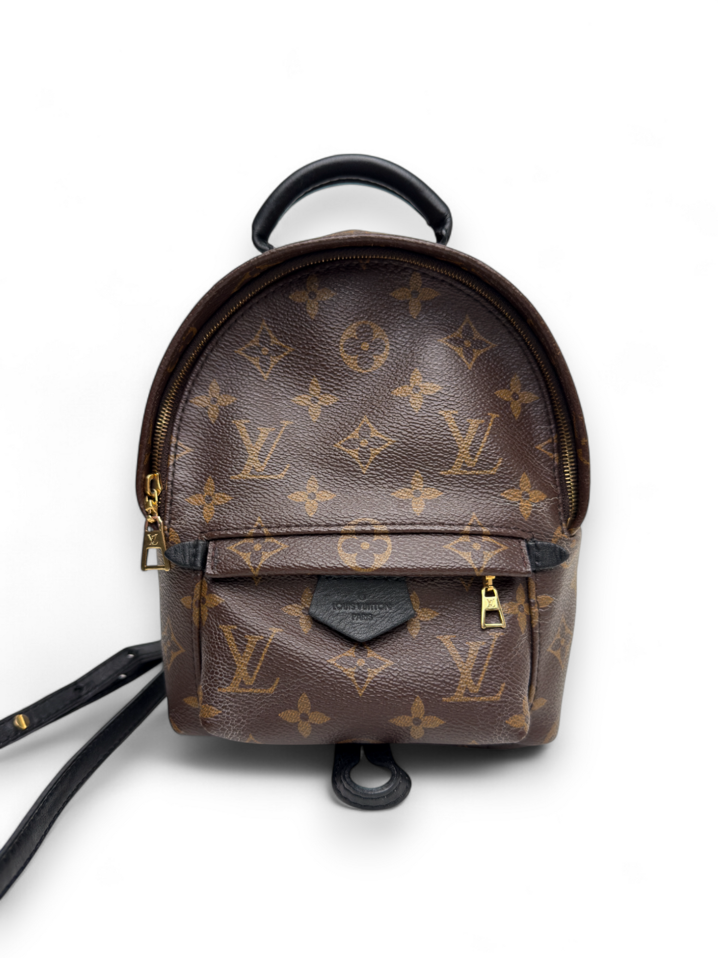 Louis Vuitton Palm Springs Mini
