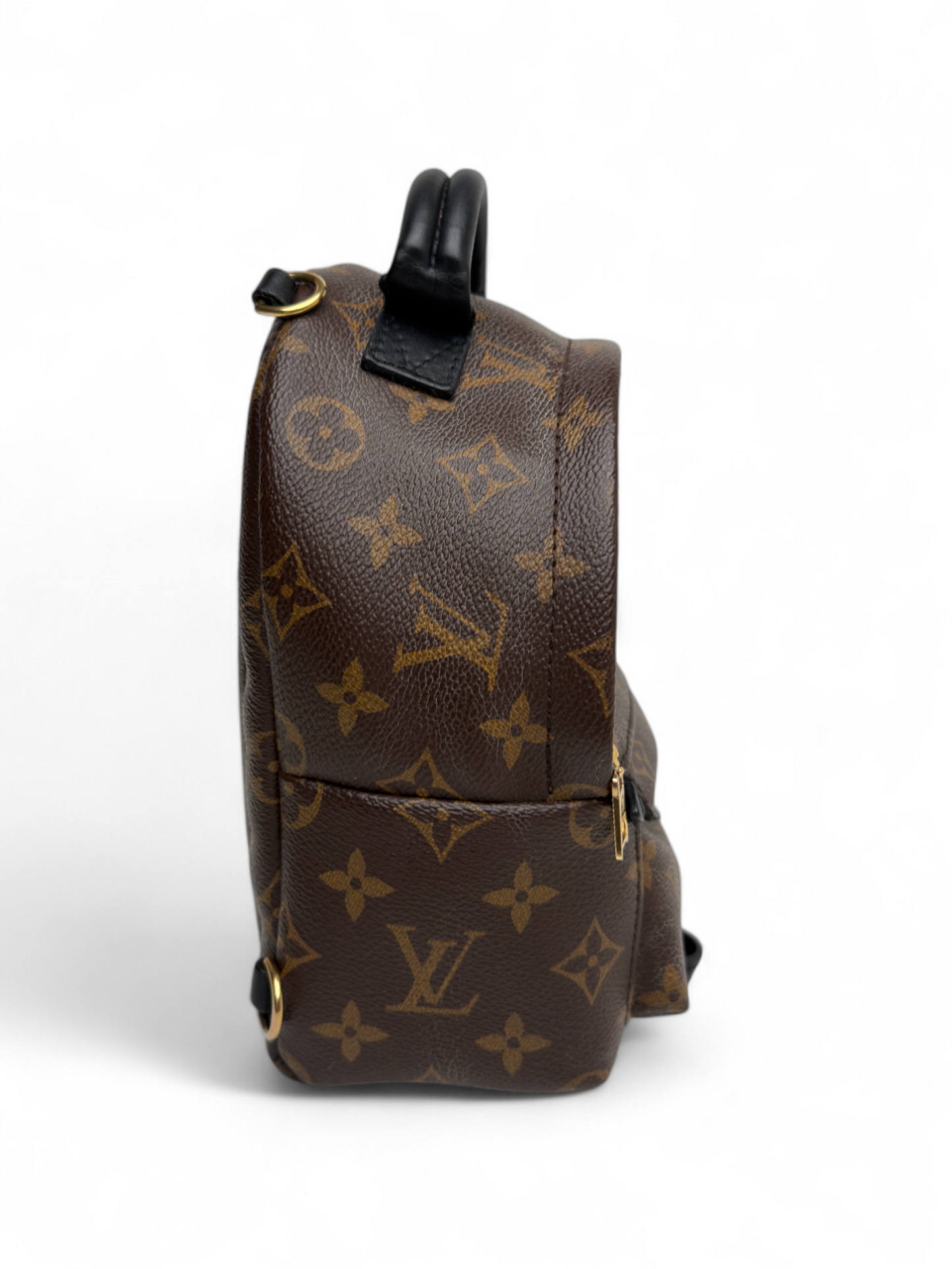 Louis Vuitton Palm Springs Mini