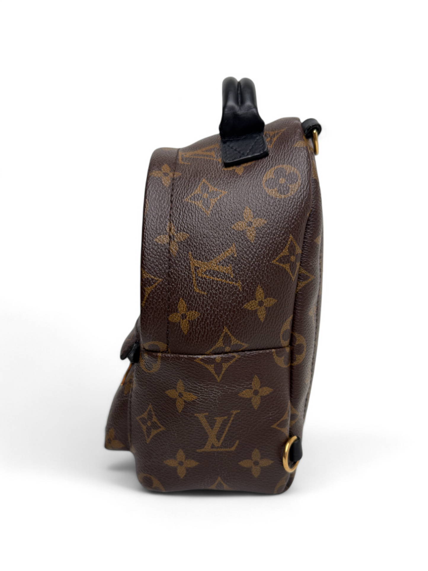 Louis Vuitton Palm Springs Mini