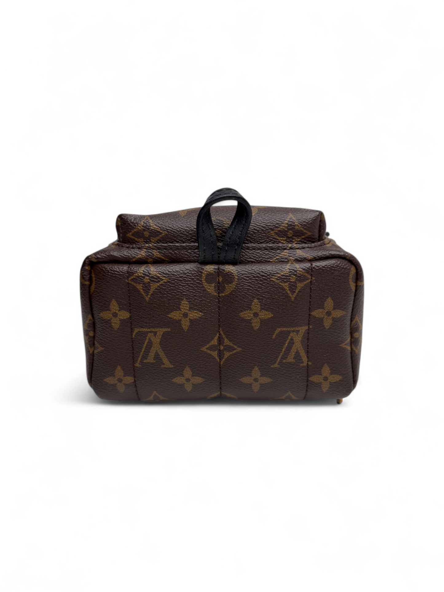 Louis Vuitton Palm Springs Mini
