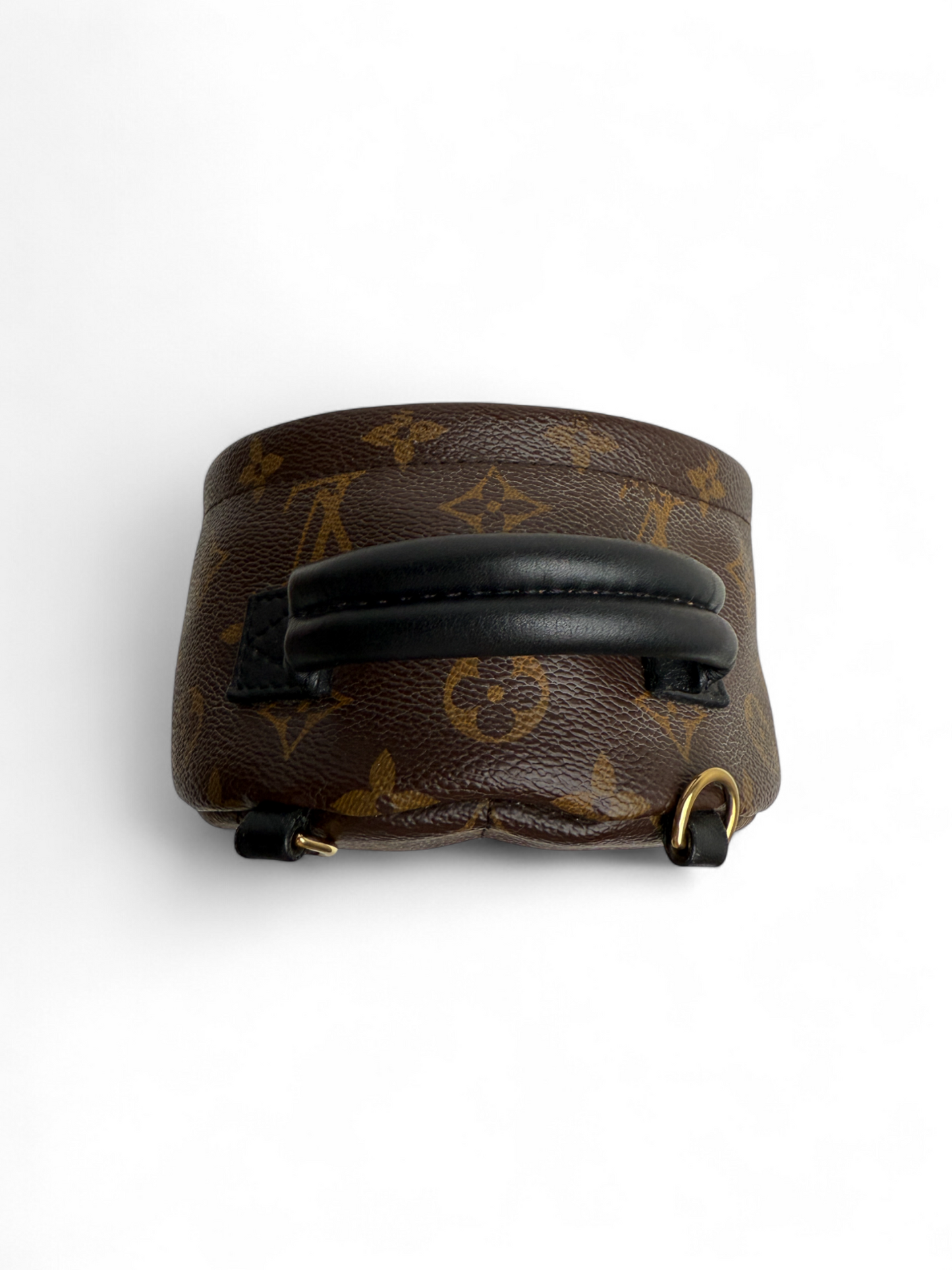 Louis Vuitton Palm Springs Mini