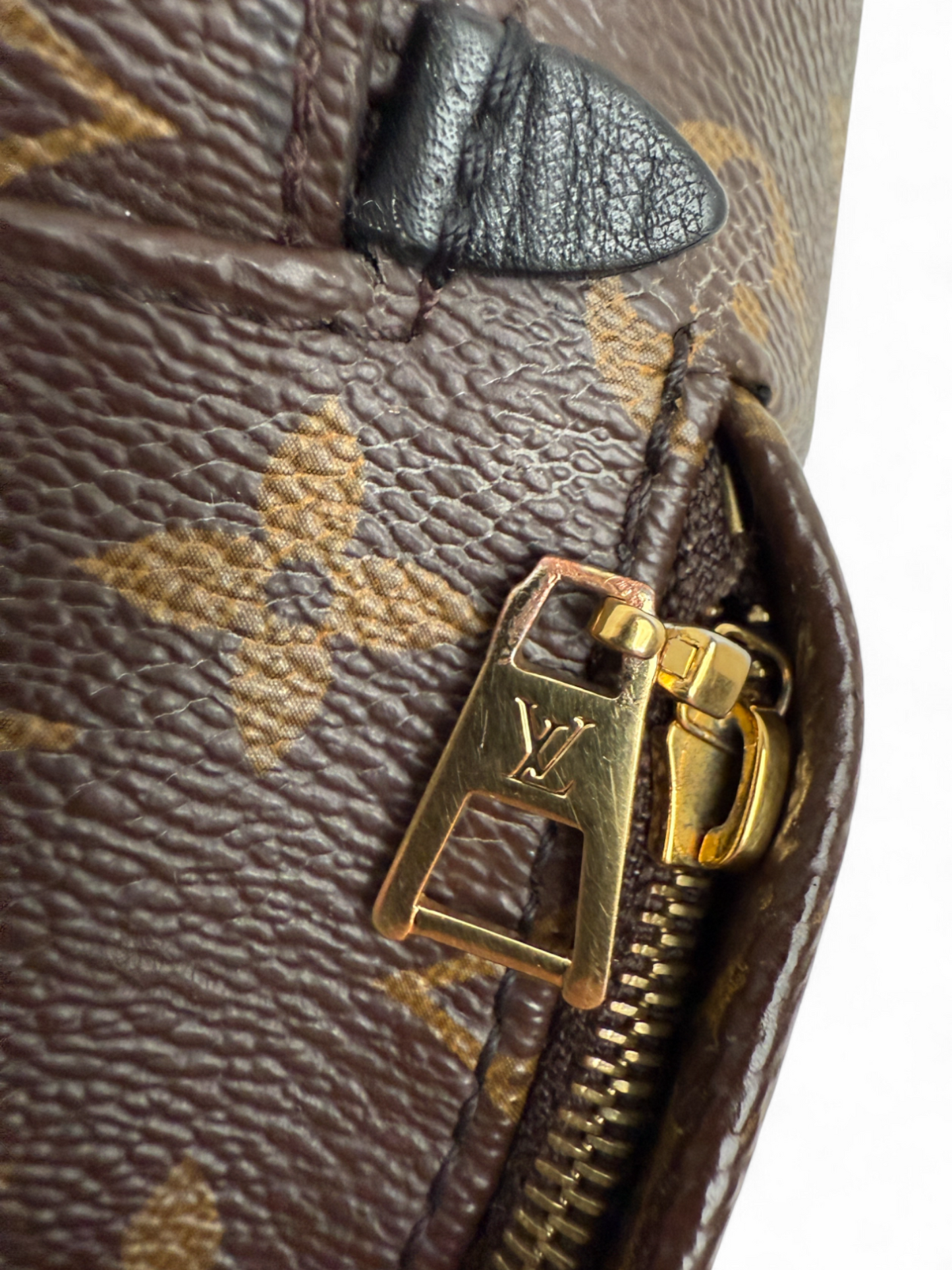 Louis Vuitton Palm Springs Mini