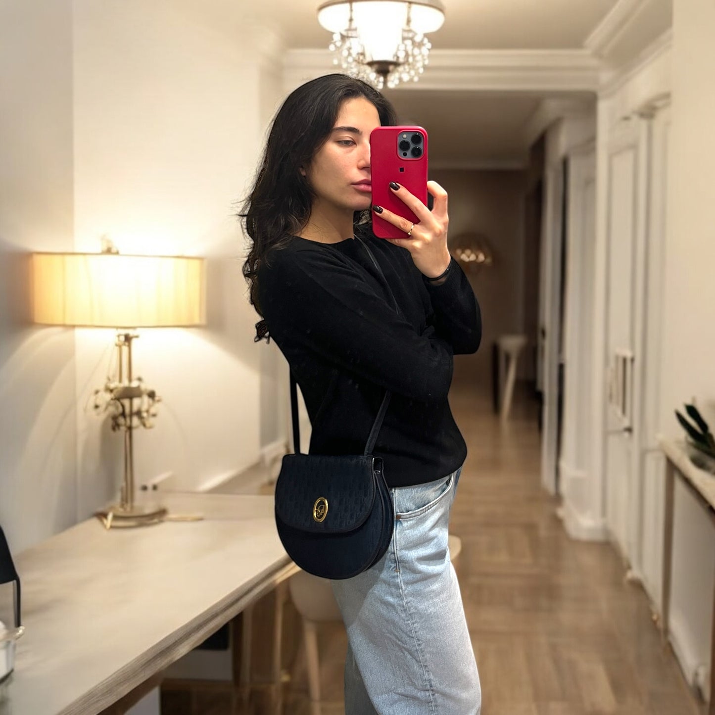 Dior obliqe