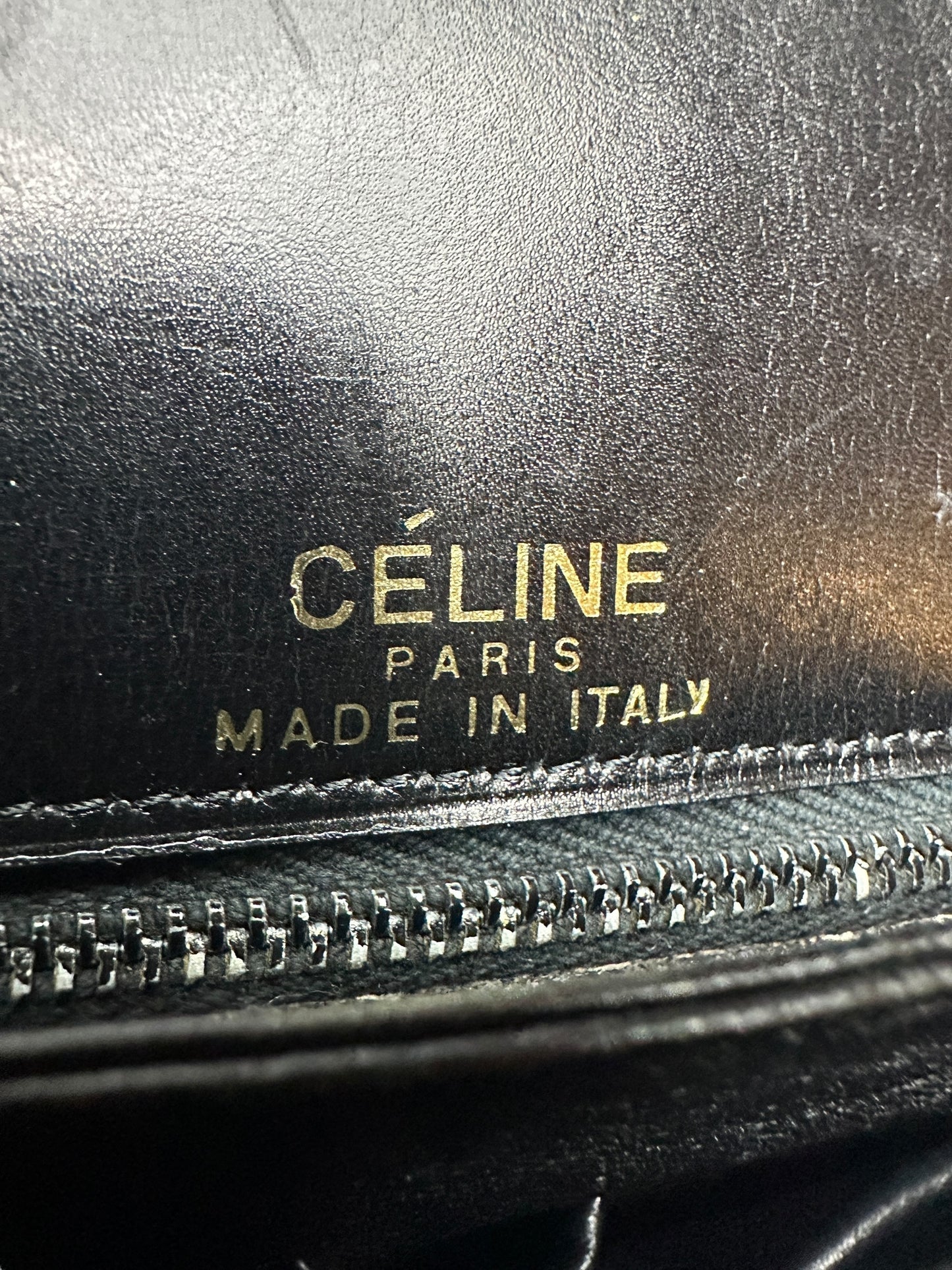 Celine horse carriage