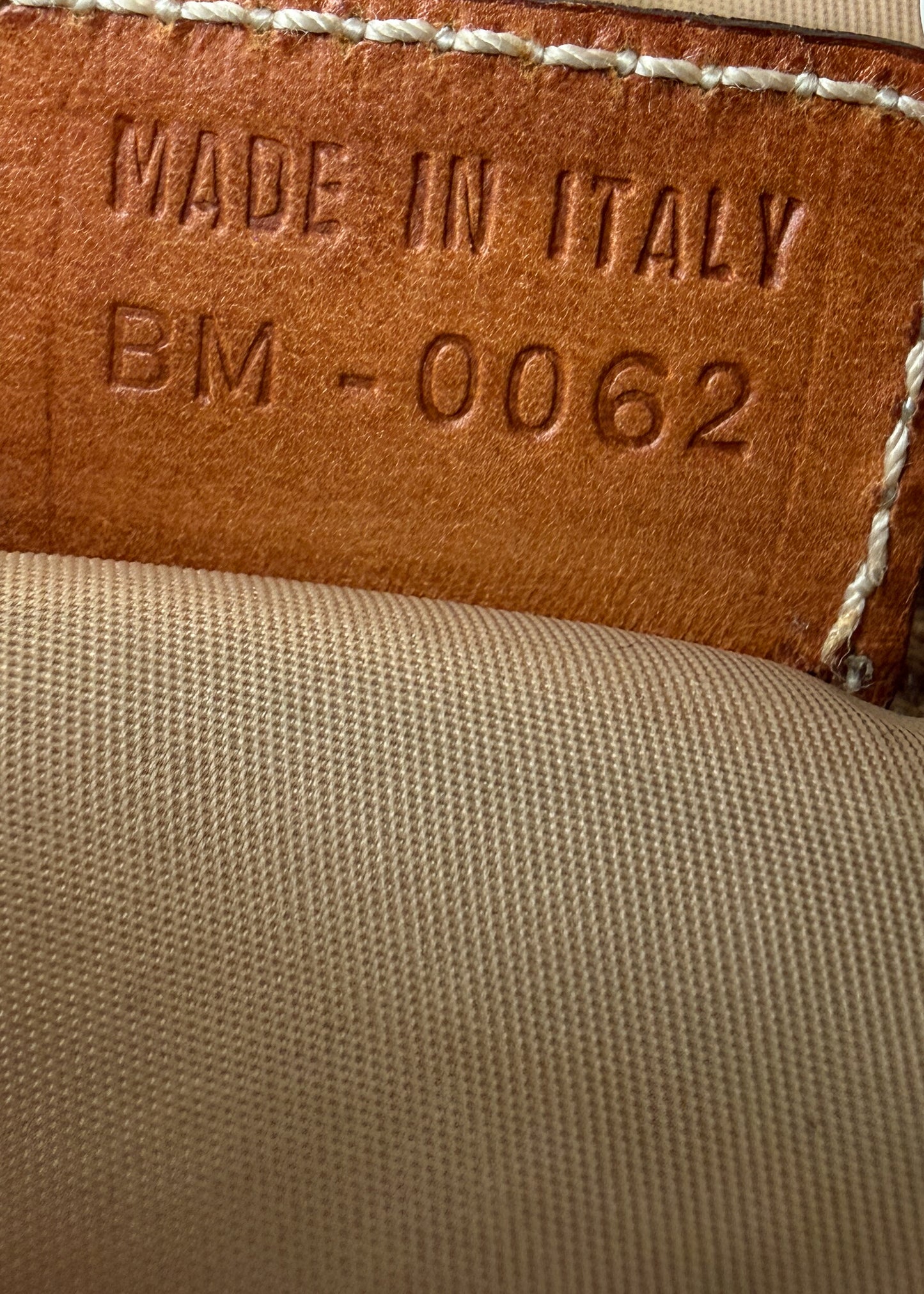 Dior Hobo Monogram Crossbody