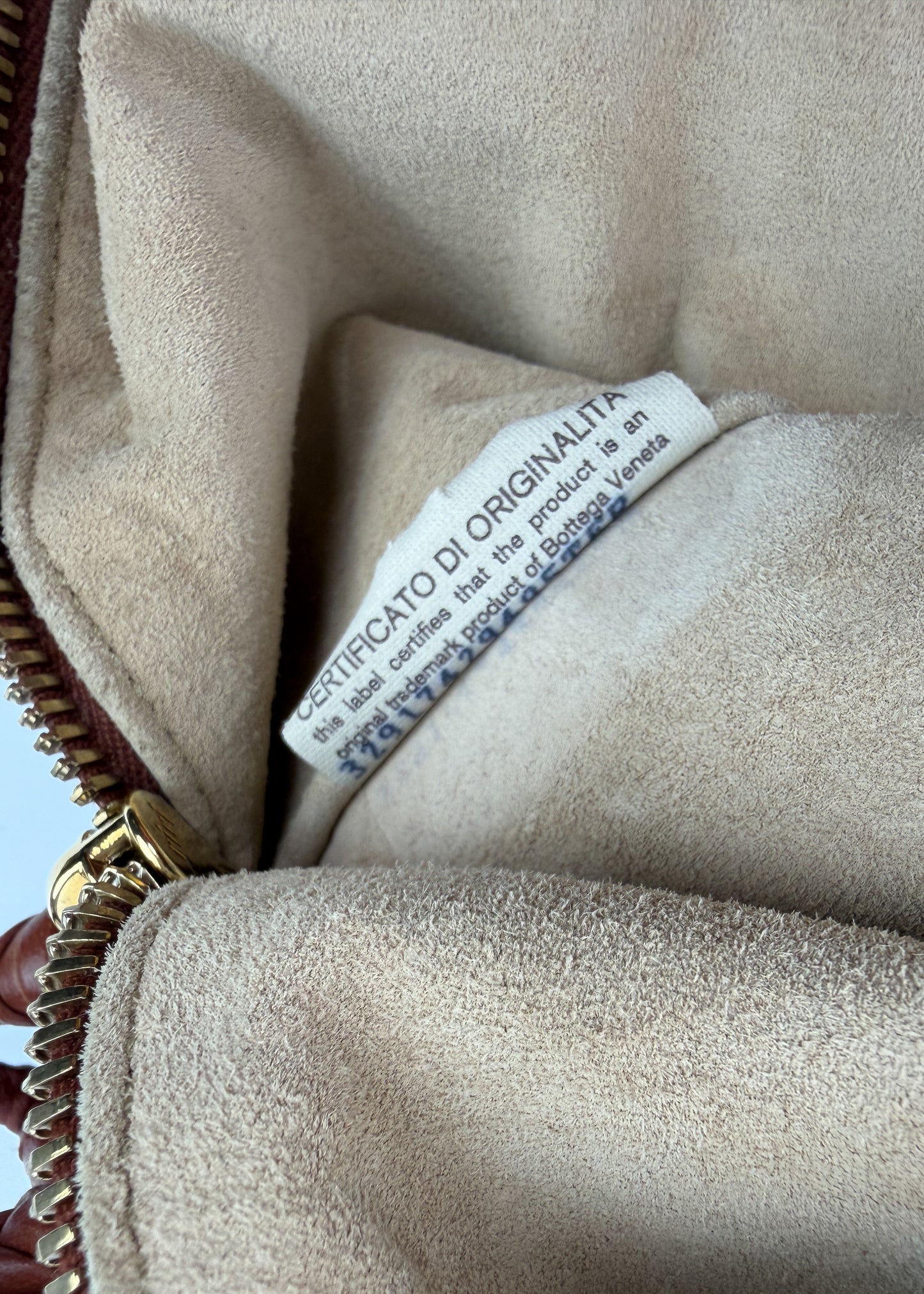 Bottega Veneta Big pouch