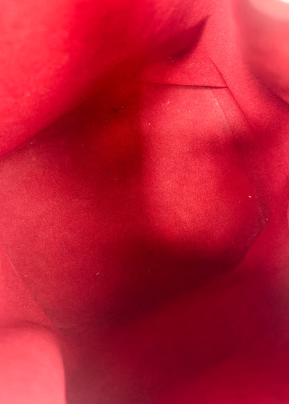 Louis Vuitton Petit Noe Epi Red/Black