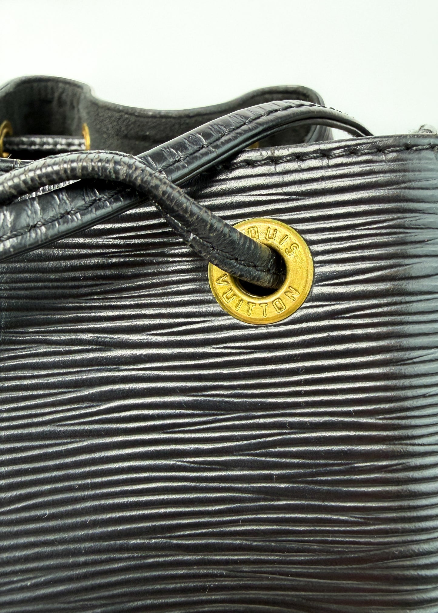 Louis Vuitton Petit Noe Epi Black