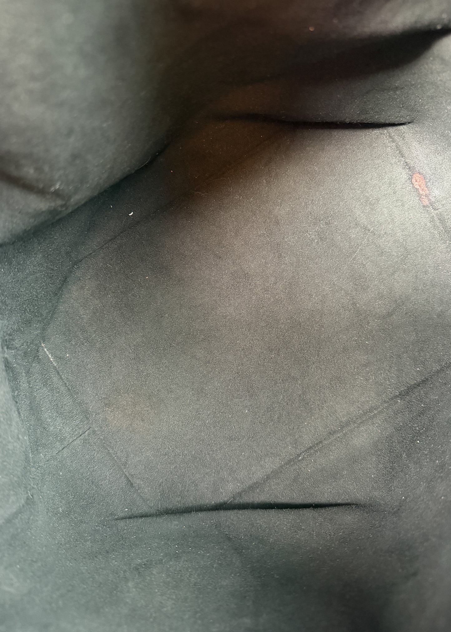 Louis Vuitton Petit Noe Epi Black