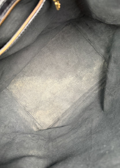 Louis Vuitton Petit Noe GM Epi