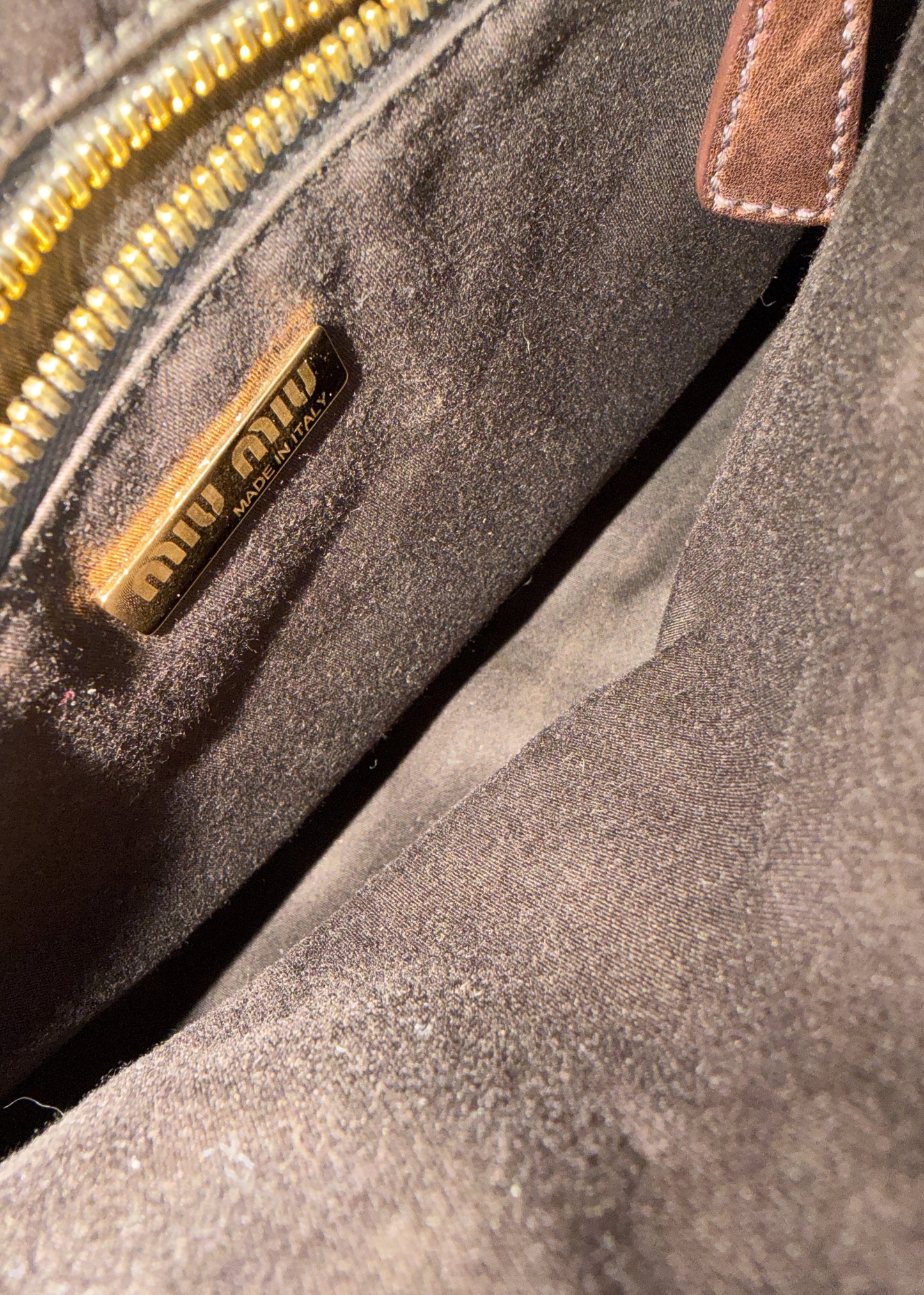 Miu Miu Crossbody Bag