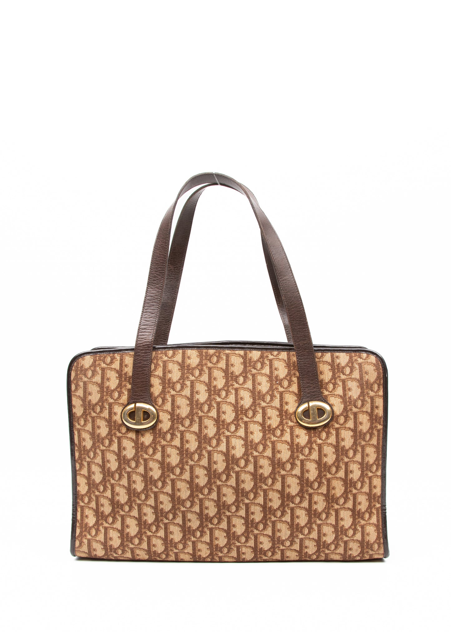 Dior Trotter Canvas