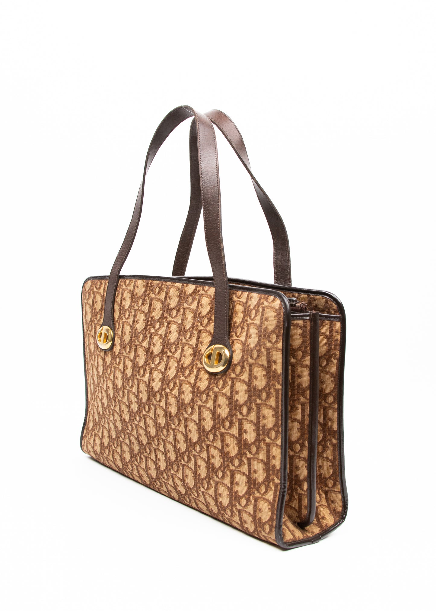 Dior Trotter Canvas