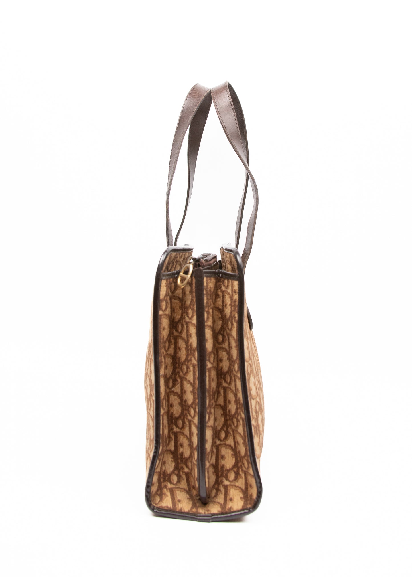 Dior Trotter Canvas