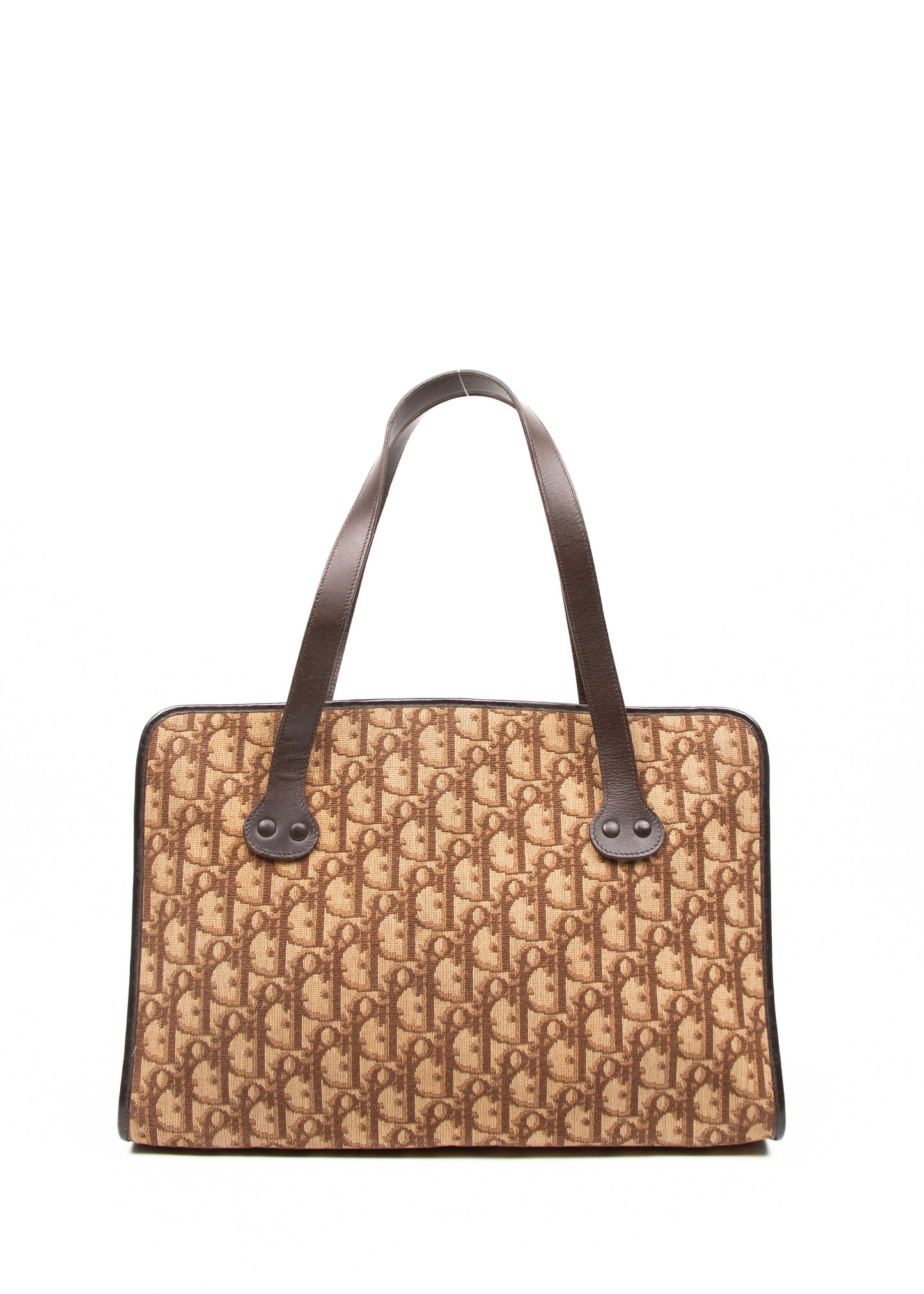 Dior Trotter Canvas