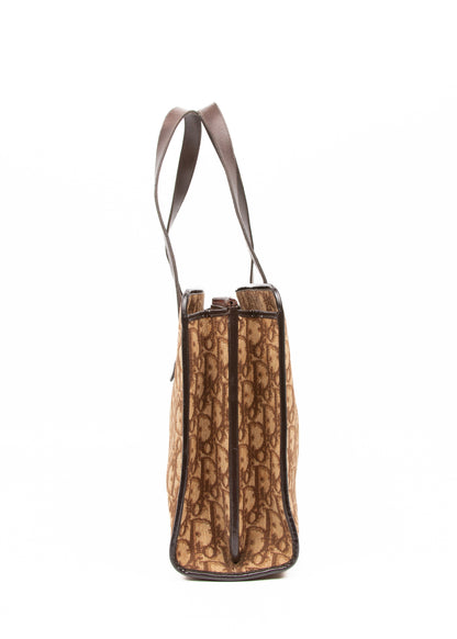 Dior Trotter Canvas