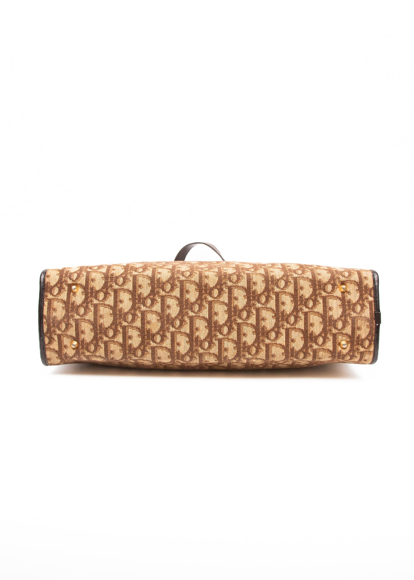 Dior Trotter Canvas