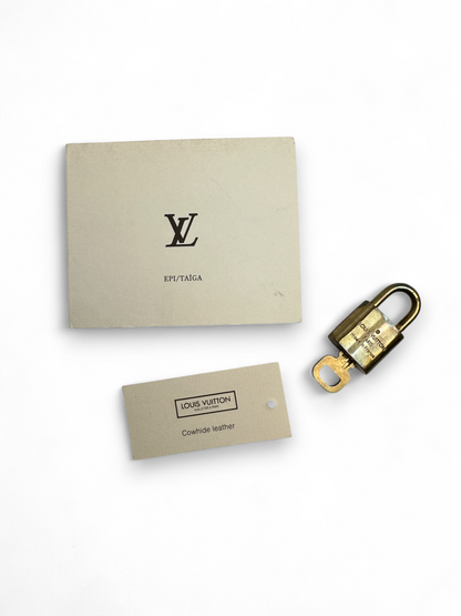 Louis Vuitton Speedy 25 Epi black