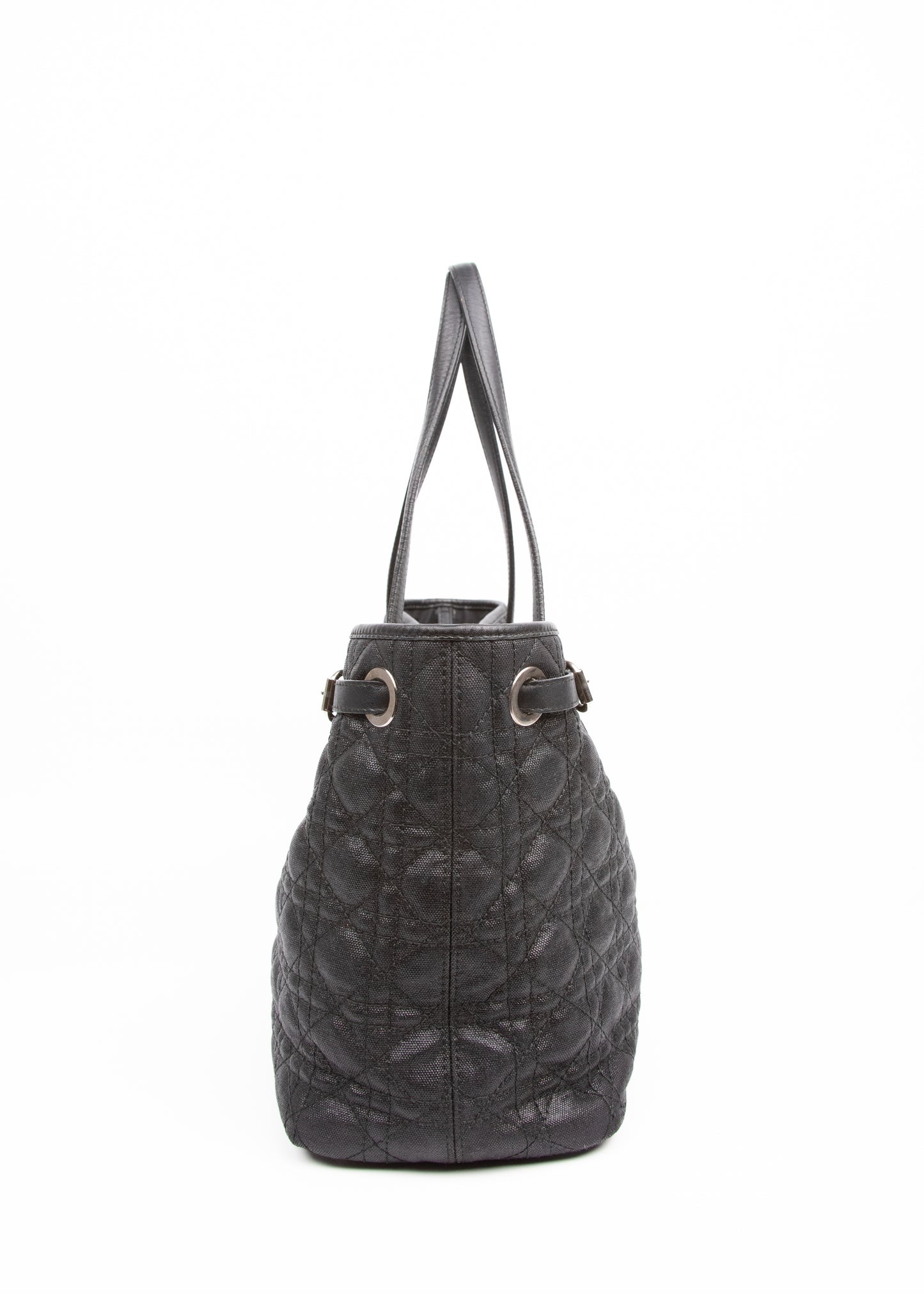 Dior Cannage Panerea Medium