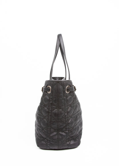 Dior Cannage Panerea Medium