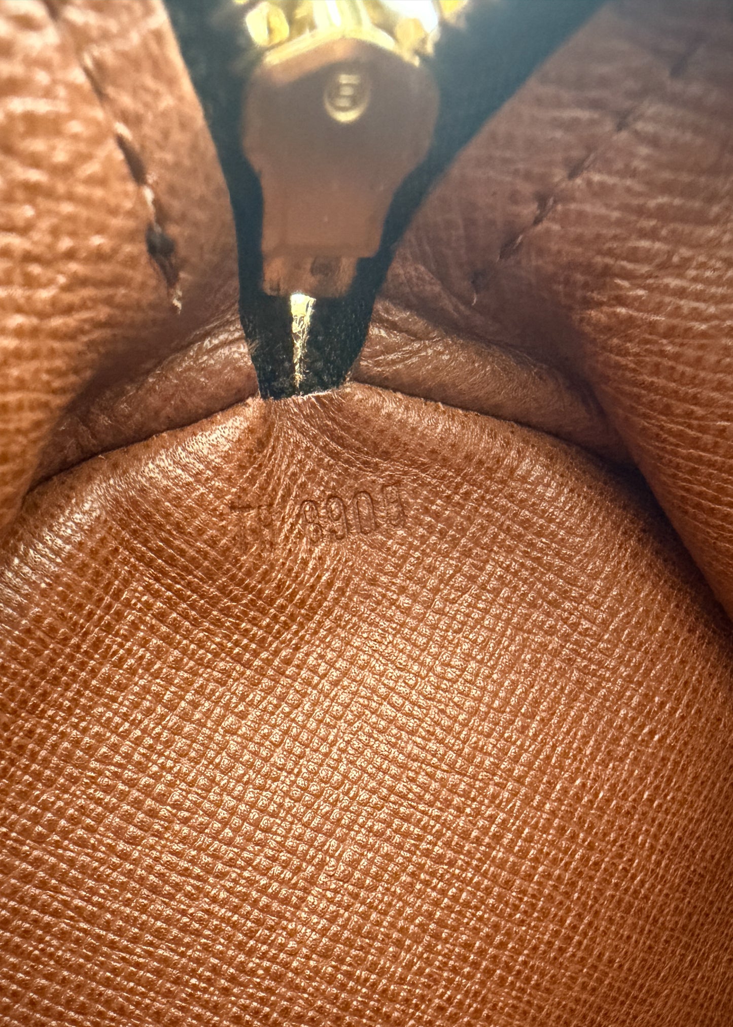 Louis Vuitton Papillon