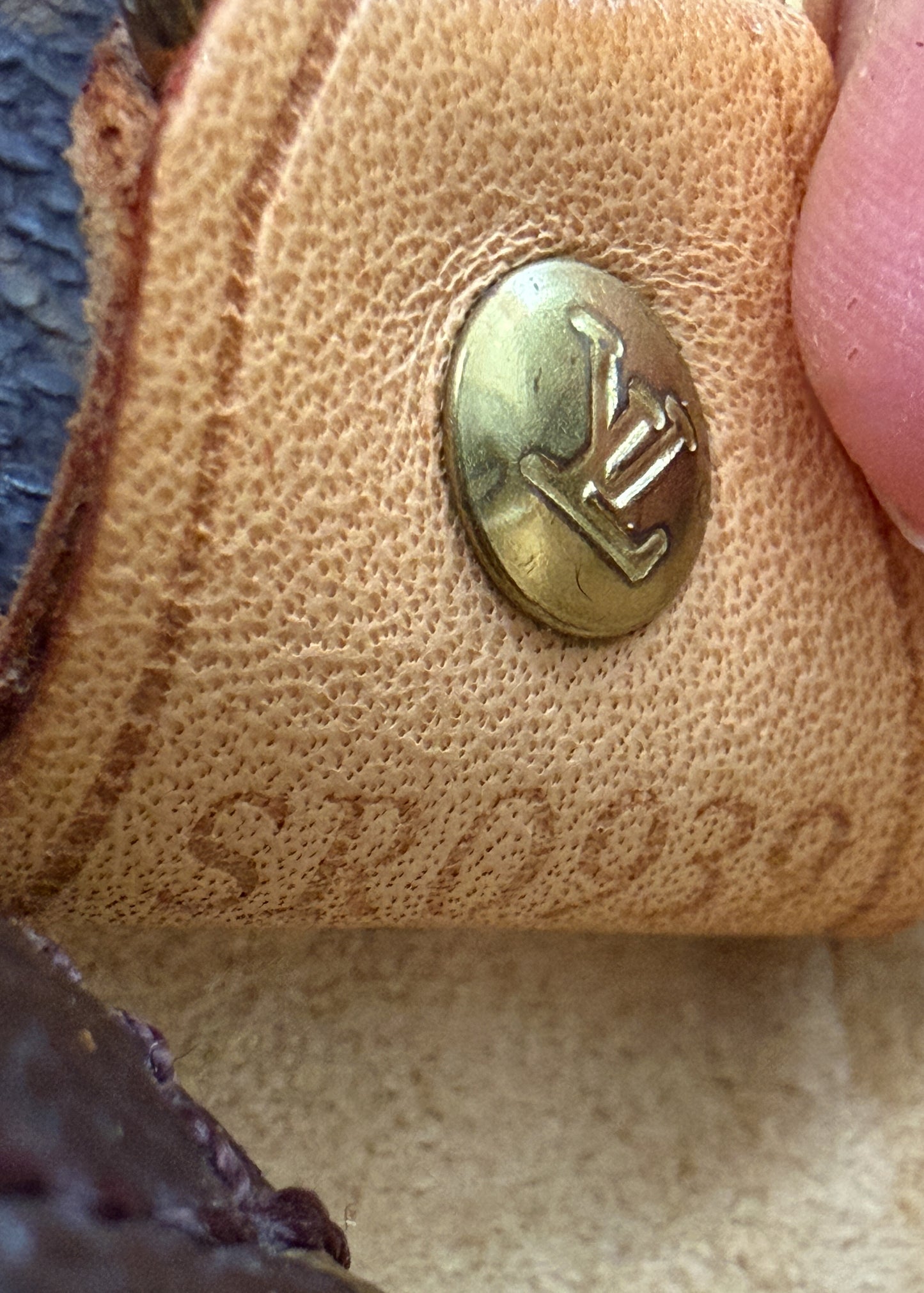 Louis Vuitton Luco