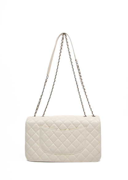 Chanel Flap Icon series