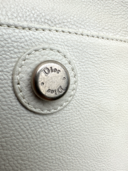 Dior Frame Bag