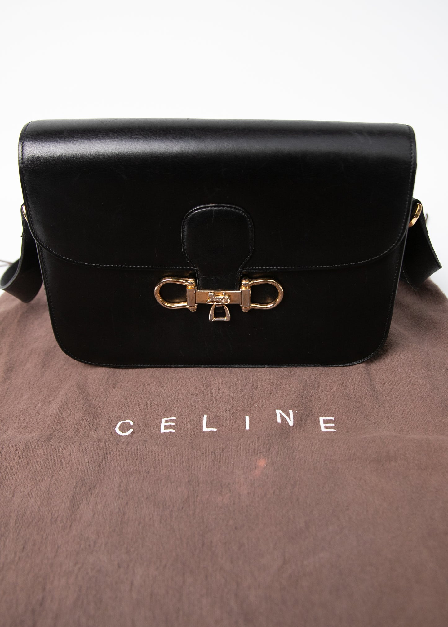 Celine Carriage Bag