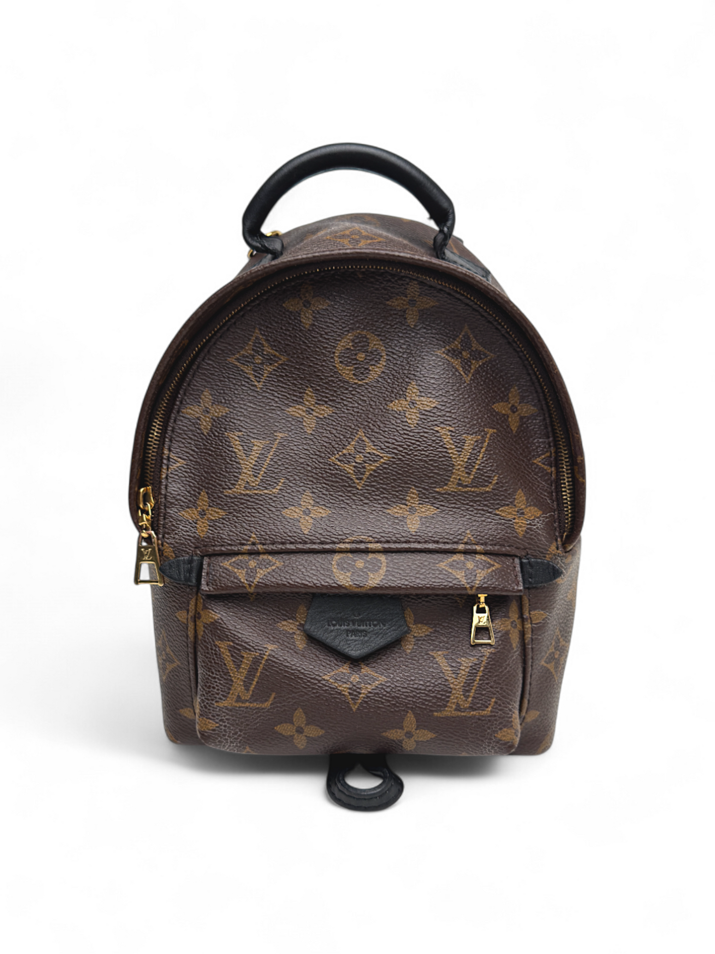Louis Vuitton Palm Springs Mini