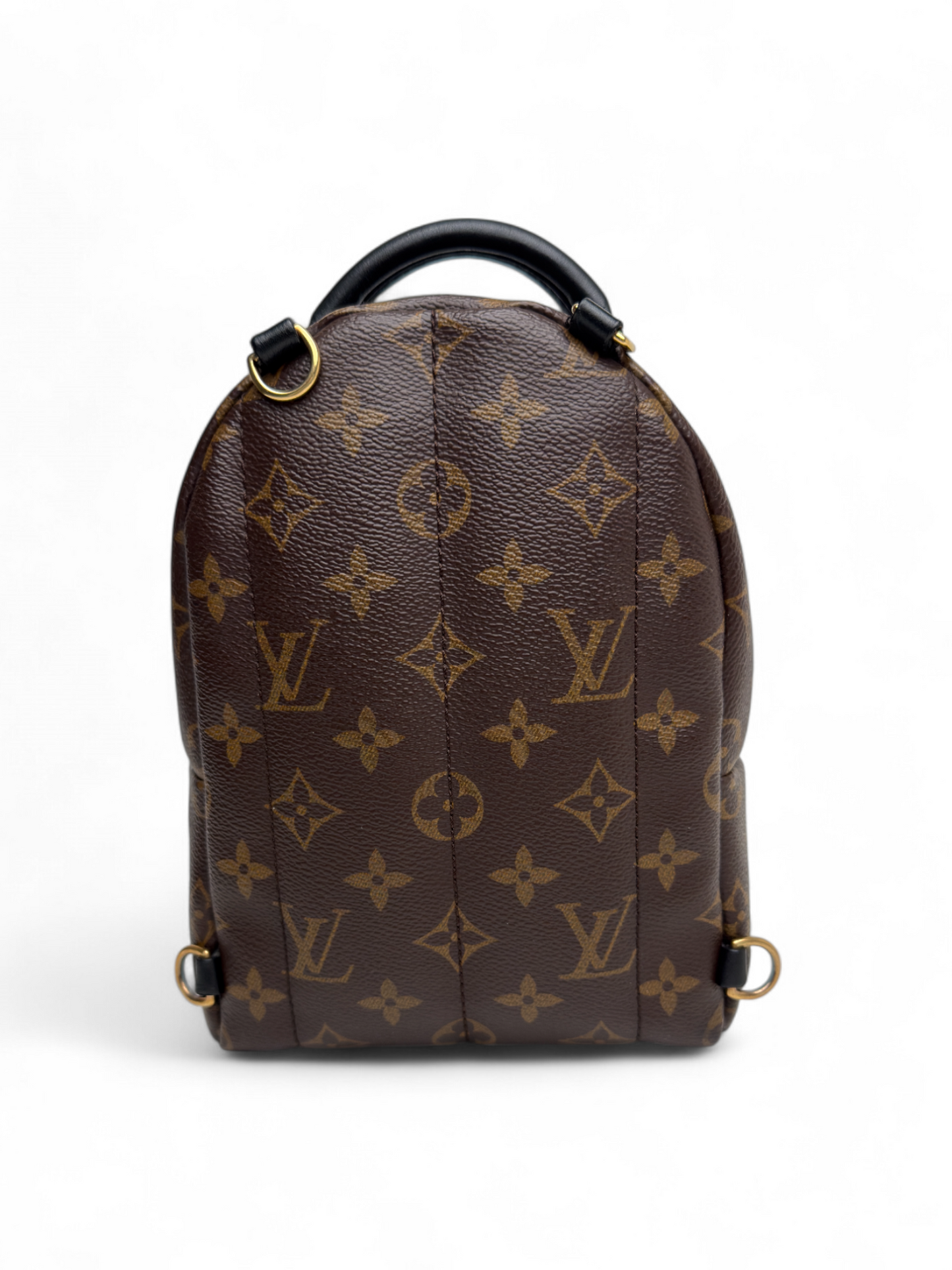 Louis Vuitton Palm Springs Mini