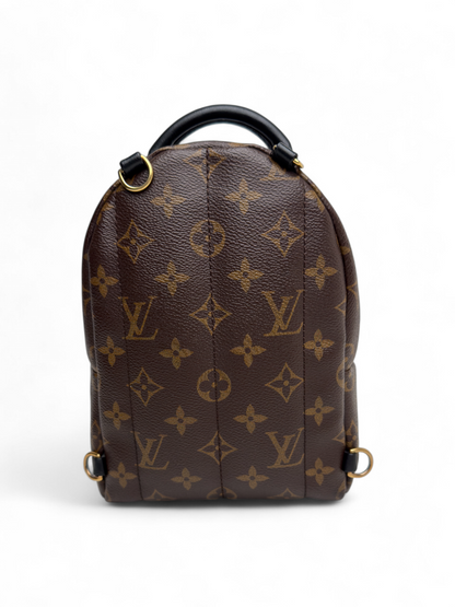 Louis Vuitton Palm Springs Mini