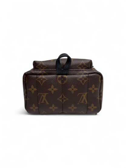 Louis Vuitton Palm Springs Mini