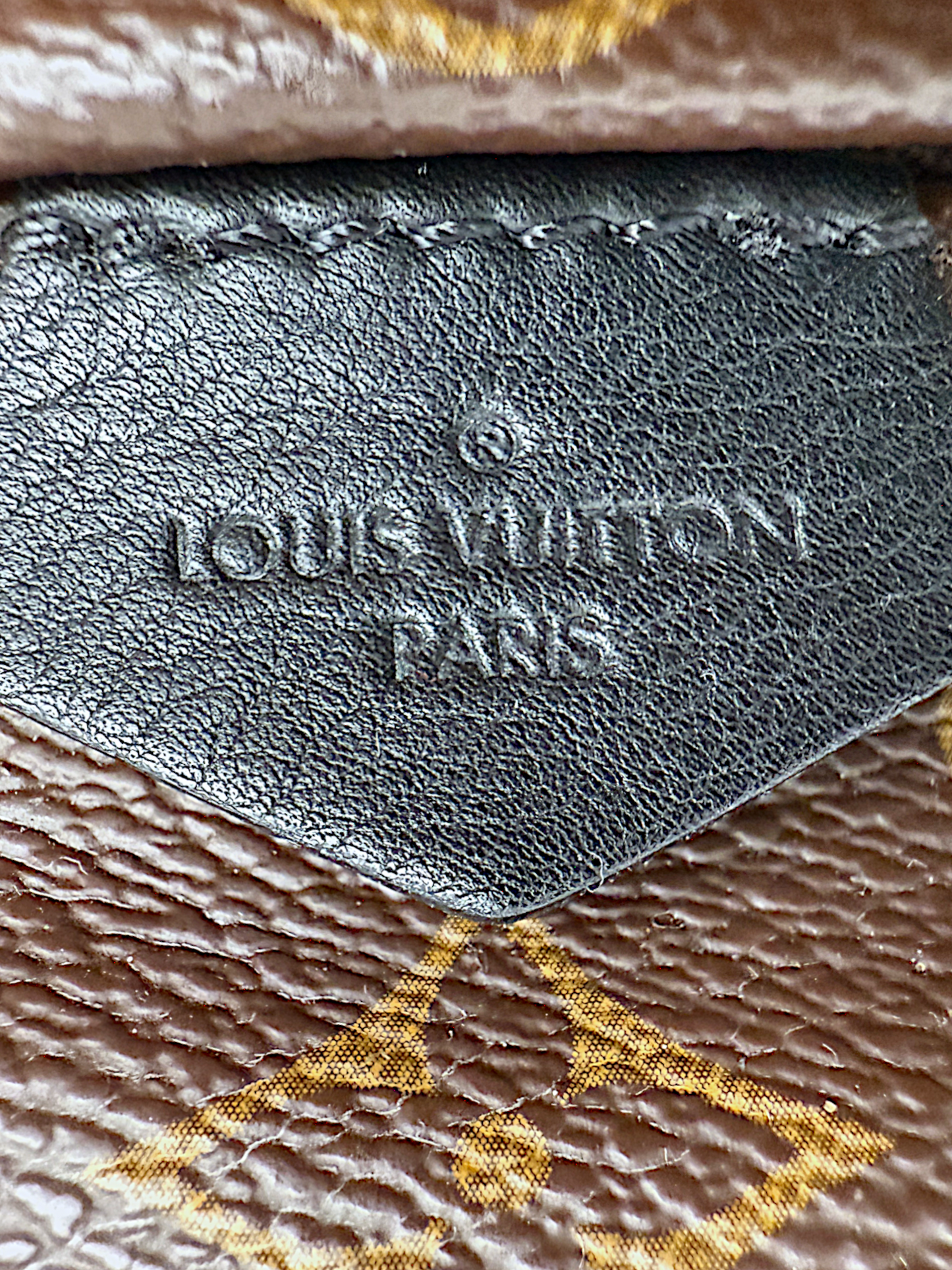 Louis Vuitton Palm Springs Mini