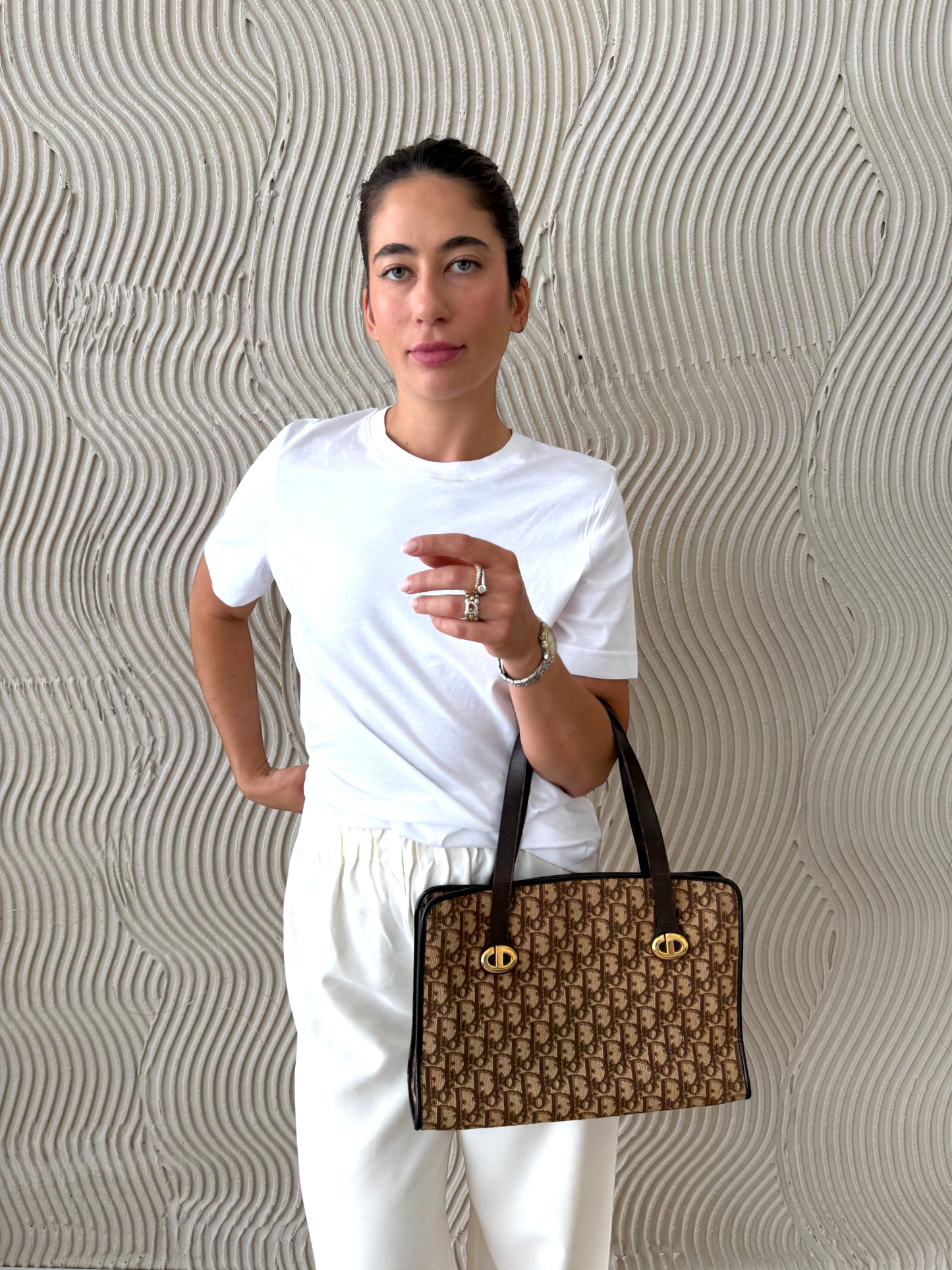 Dior Trotter Canvas