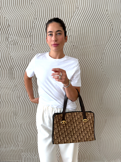 Dior Trotter Canvas