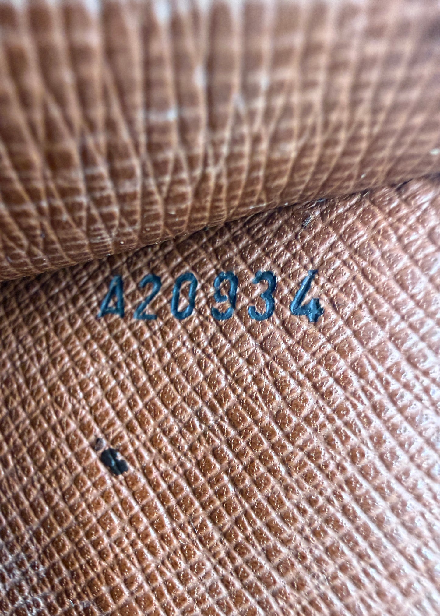 Louis Vuitton Monceau