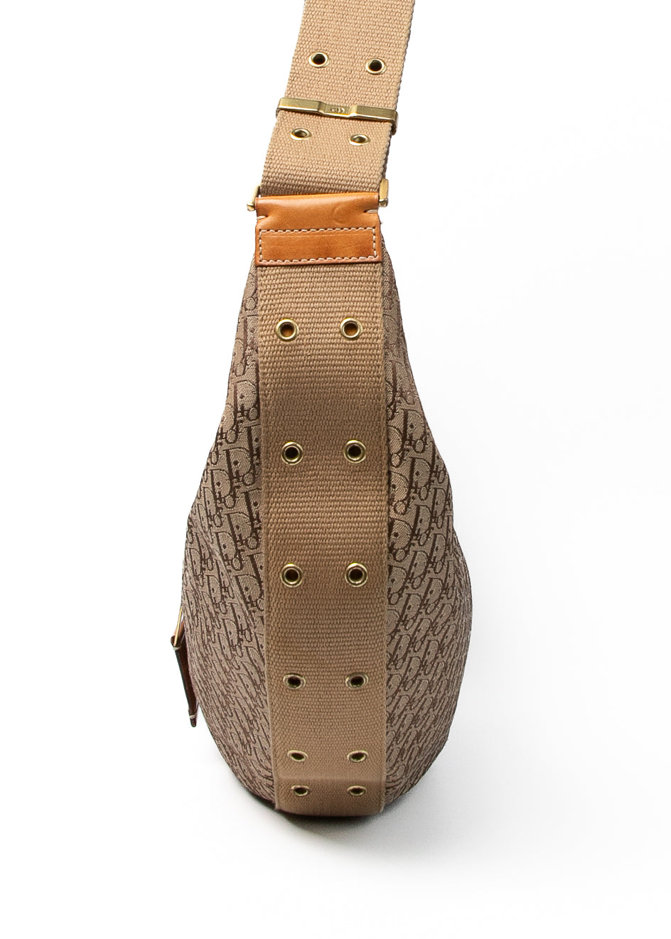 Dior Hobo Monogram Crossbody