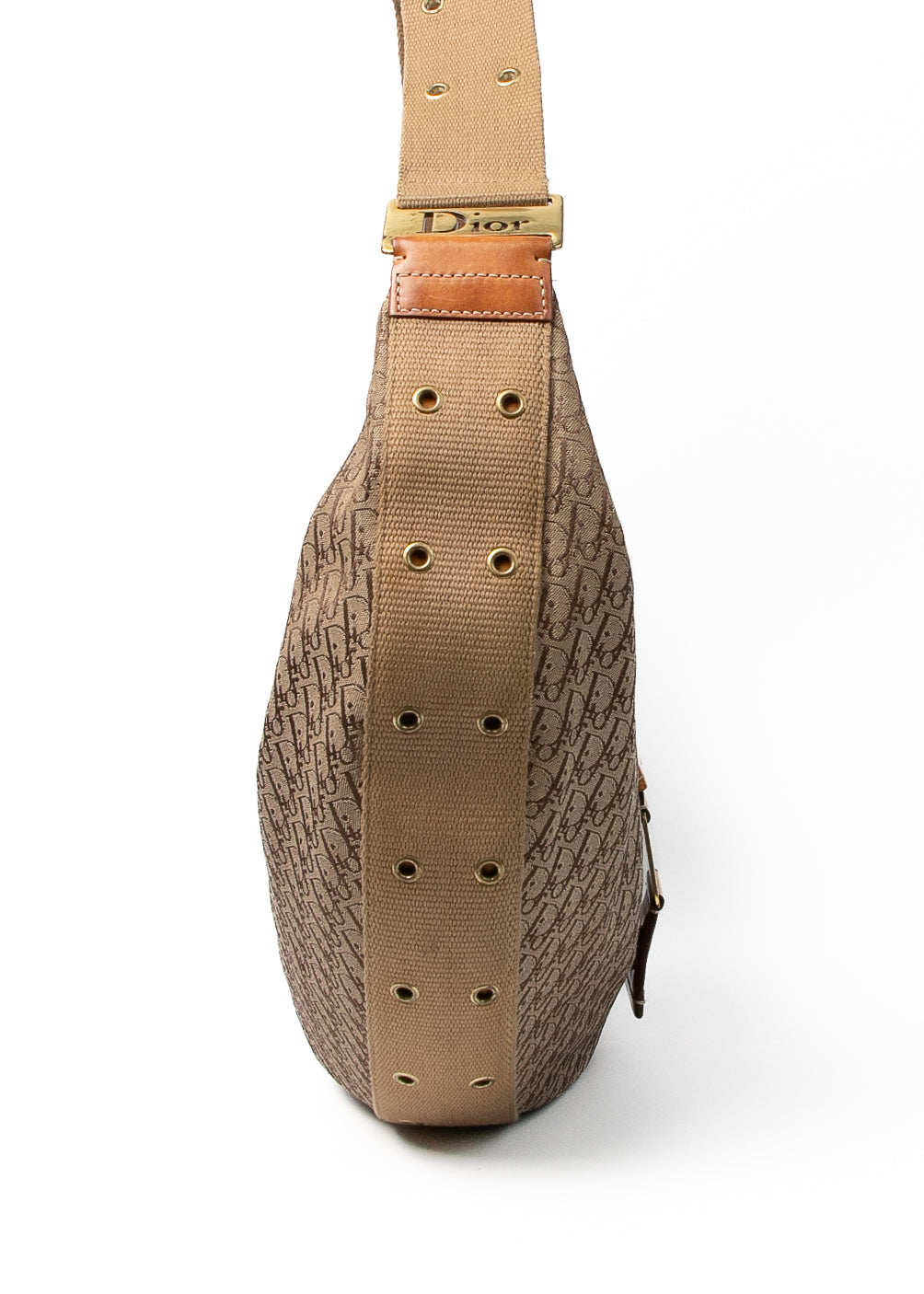 Dior Hobo Monogram Crossbody
