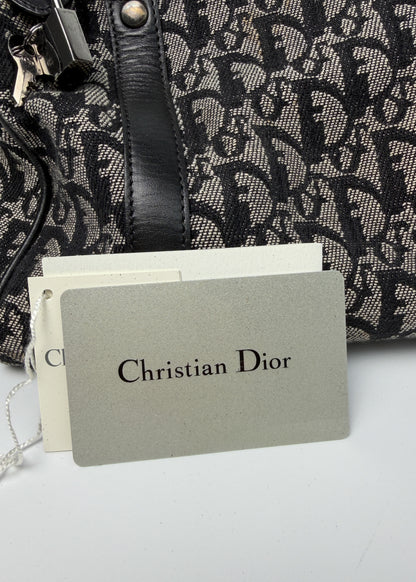 Dior Trotter 25