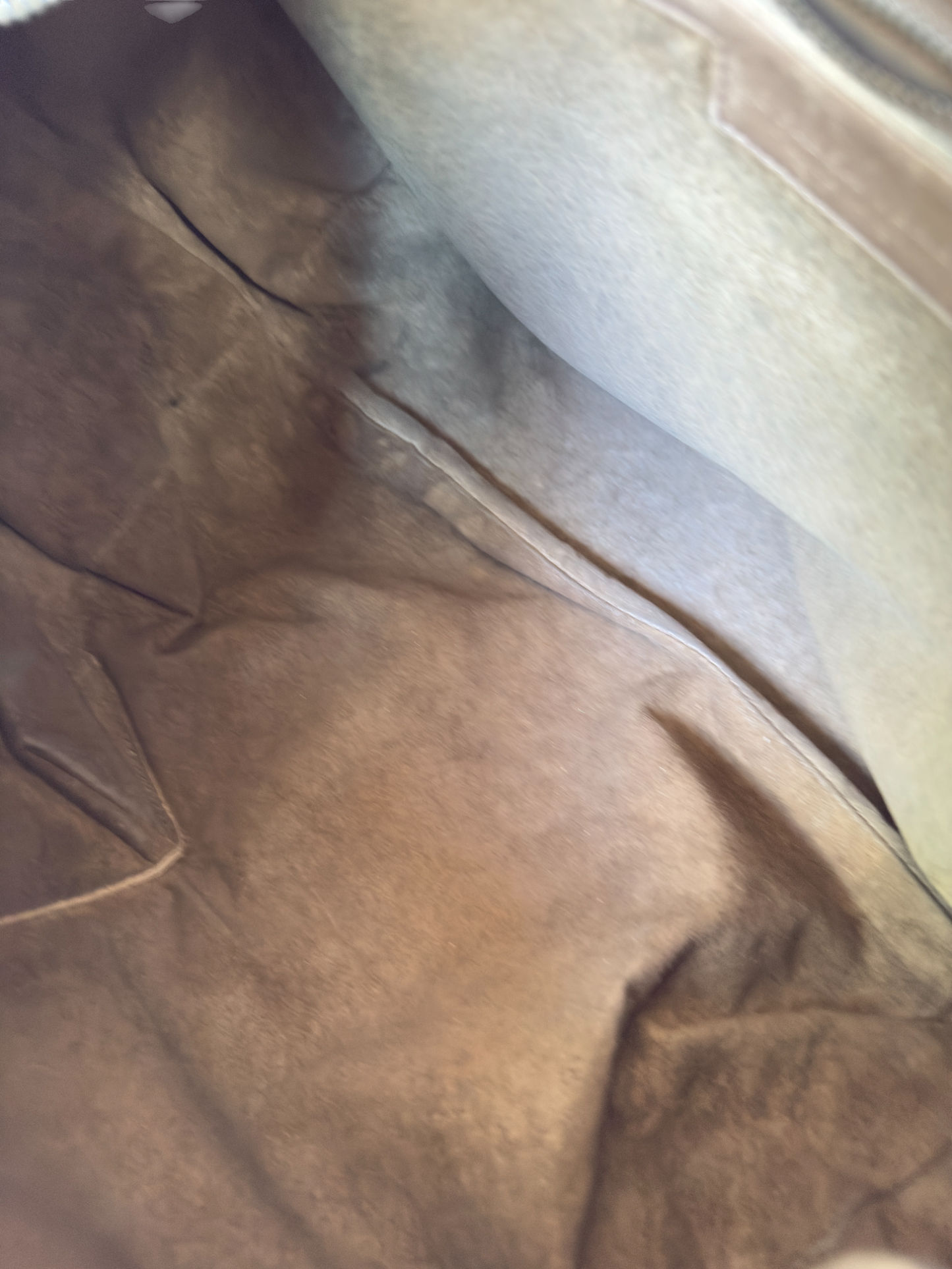 Bottega Veneta hobo