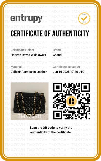 Louis Vuitton Speedy 35